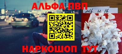 спиды Гай