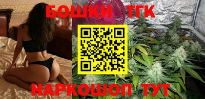спиды Гай