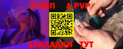 спиды Гай