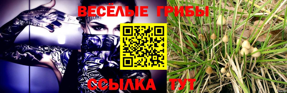 Галлюциногенные грибы Magic Shrooms  Галлюциногенные грибы Psilocybe  Бердск 