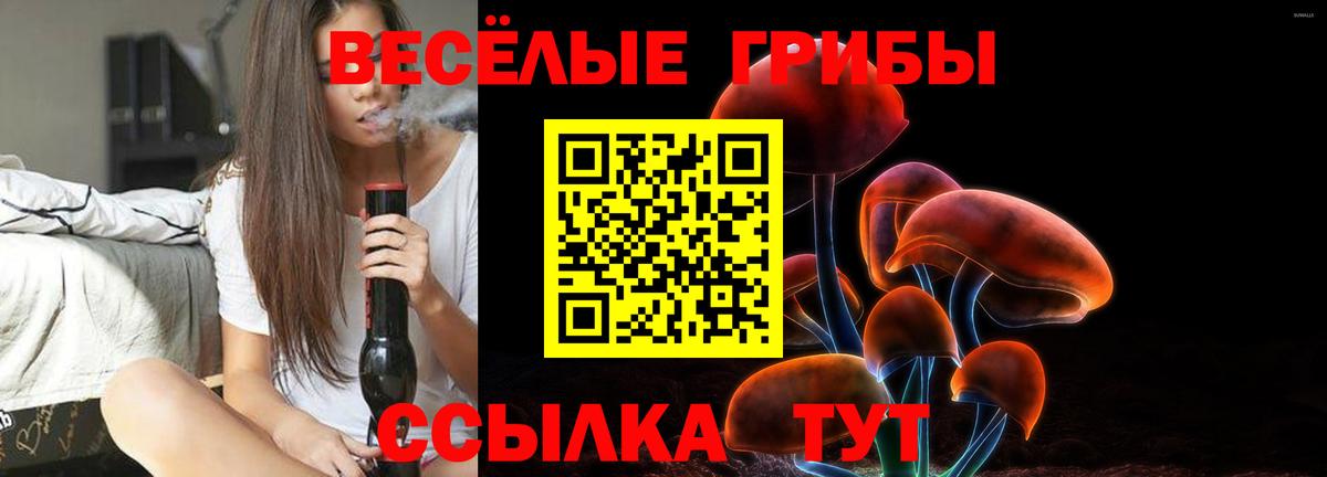 Псилоцибиновые грибы Cubensis  Вход с VPN  Галлюциногенные грибы Magic Shrooms  Бердск 